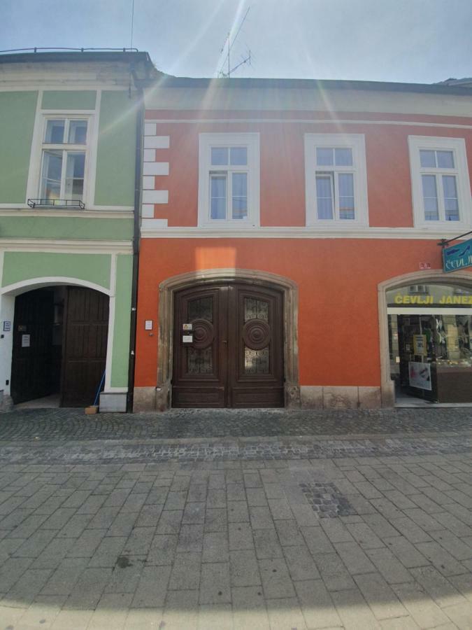 Luxory Apartment The Soul Of City Maribor Exteriér fotografie